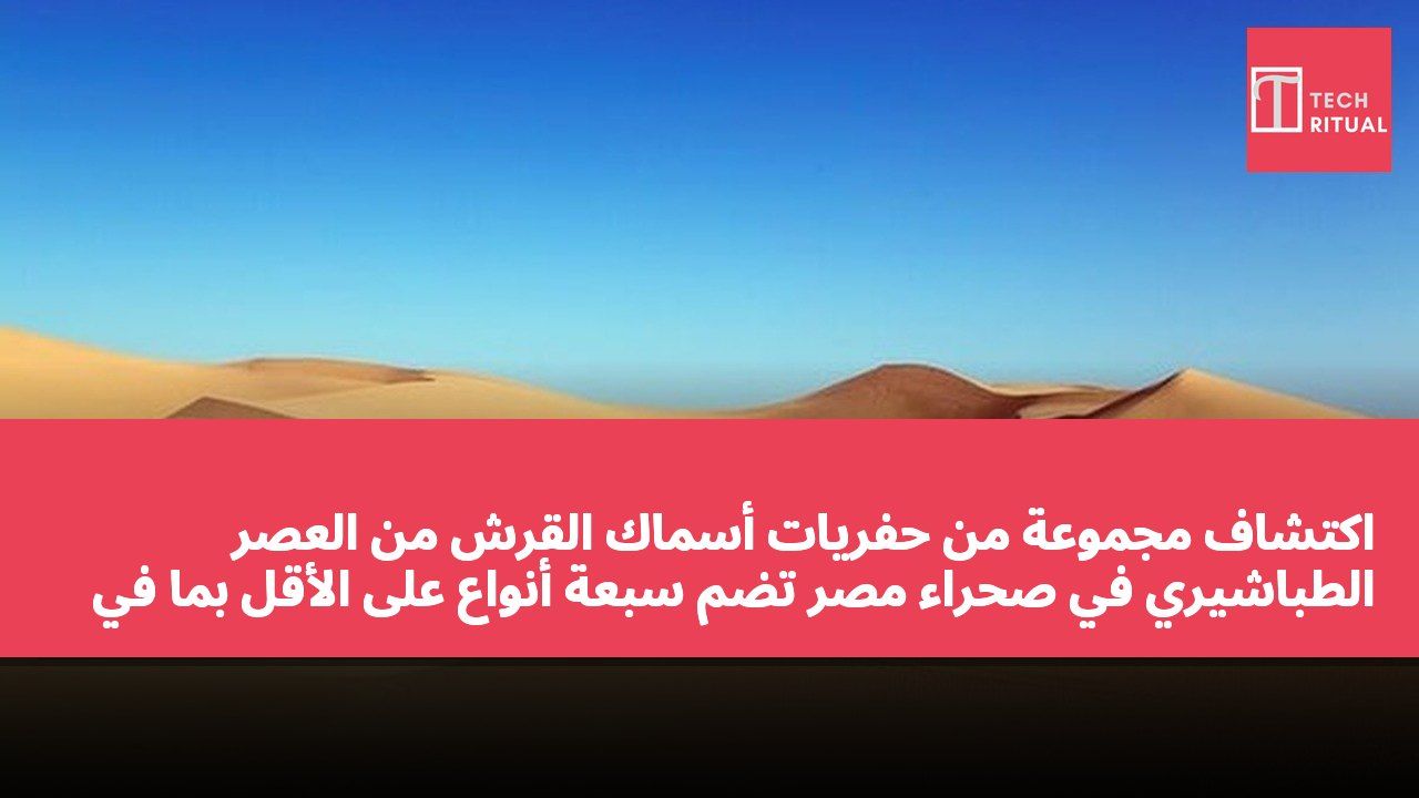 اكتشاف مجموعة من حفريات أسماك القرش من العصر الطباشيري في صحراء مصر تضم سبعة أنواع على الأقل بما في ذلك نوع جديد لم يُكتشف من قبل في إفريقيا