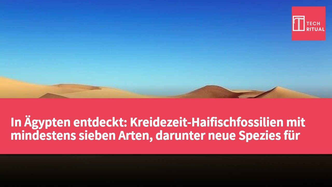 In Ägypten entdeckt: Kreidezeit-Haifischfossilien mit mindestens sieben Arten, darunter neue Spezies für Afrika