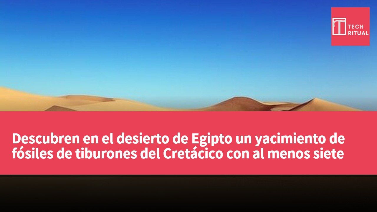 Descubren en el desierto de Egipto un yacimiento de fósiles de tiburones del Cretácico con al menos siete especies, incluida una nueva para África.