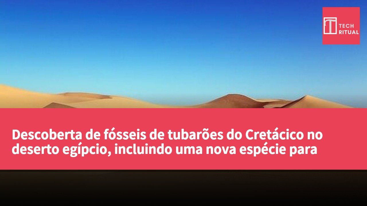 Descoberta de fósseis de tubarões do Cretácico no deserto egípcio, incluindo uma nova espécie para África