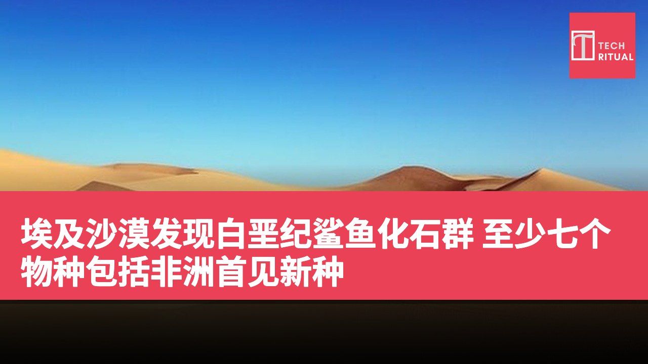 埃及沙漠发现白垩纪鲨鱼化石群 至少七个物种包括非洲首见新种