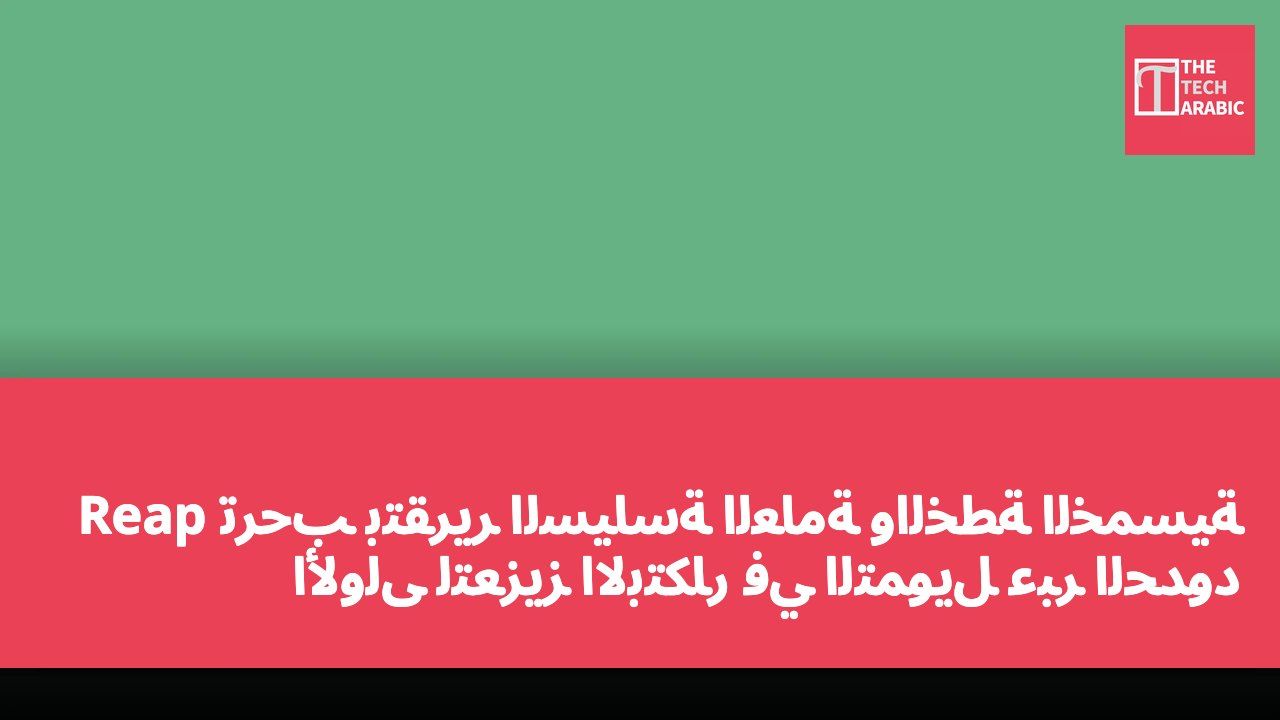 Reap ترحب بتقرير السياسة العامة والخطة الخمسية الأولى لتعزيز الابتكار في التمويل عبر الحدود