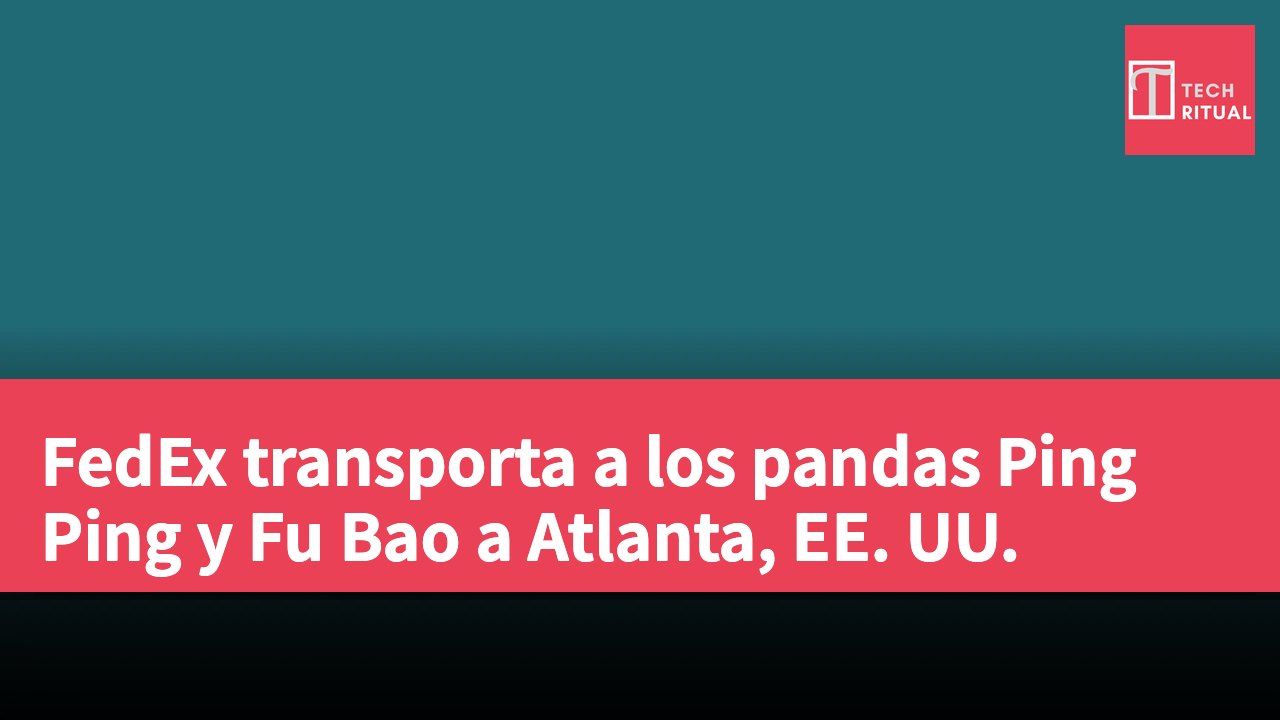 FedEx transporta a los pandas Ping Ping y Fu Bao a Atlanta, EE. UU.